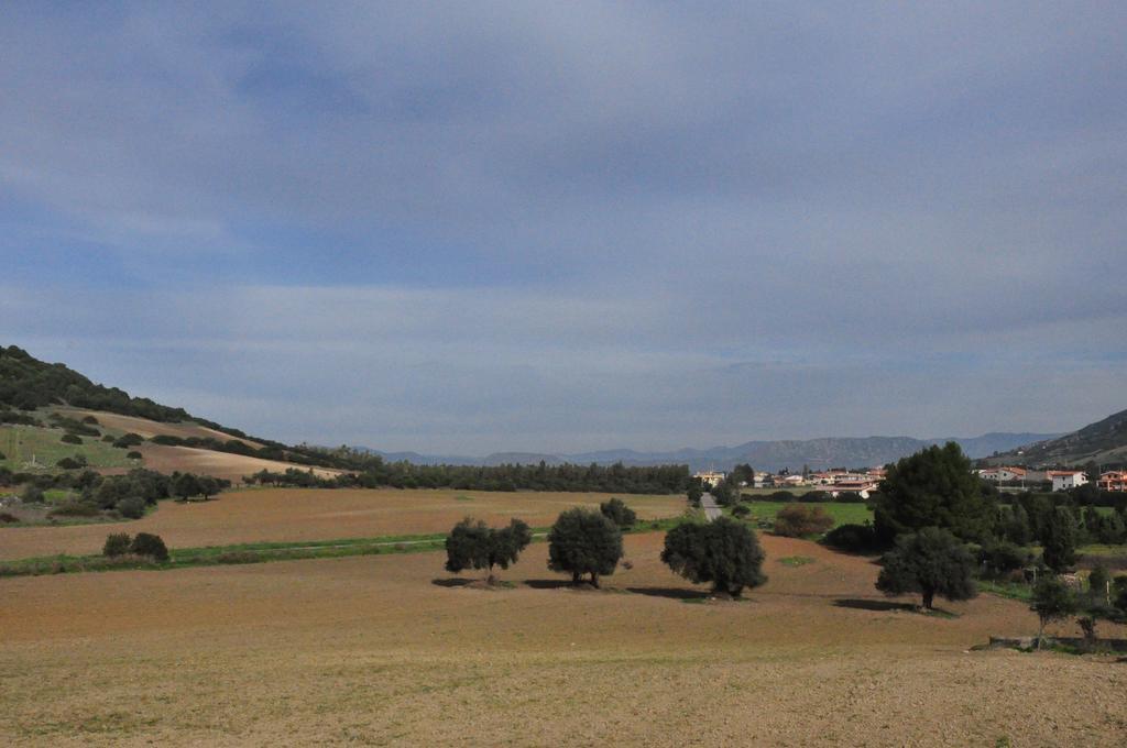Agriturismo Sa Scalitta Carbonia Dış mekan fotoğraf